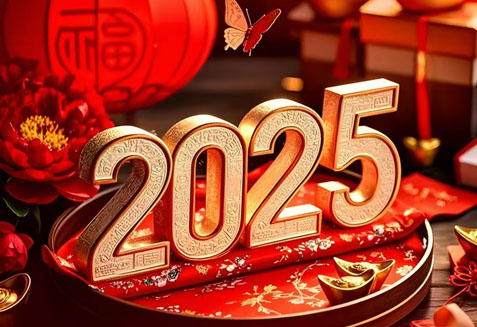 堅持熱愛,奔赴山海,你好,2025!你好，瑞泰風